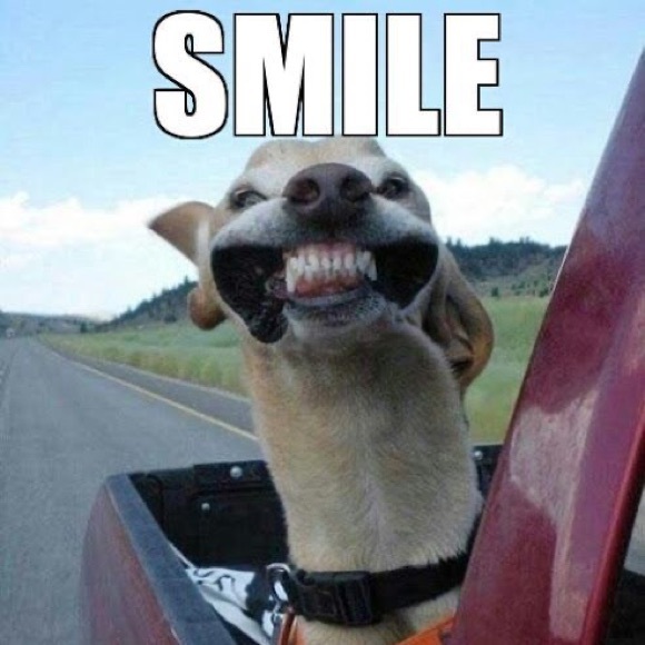 Meet your Posher, Derek - Picture 1 of 1